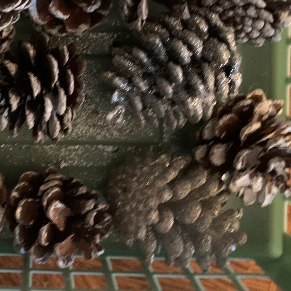 18 Small pinecones - Picture 3 of 3